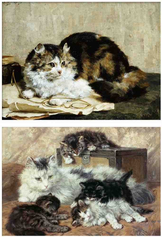 Illustrated Cat Book 1 109 Vintage Illustration A4 Photo Print