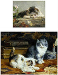 Illustrated Cat Book 1 110 Vintage Illustration A4 Photo Print