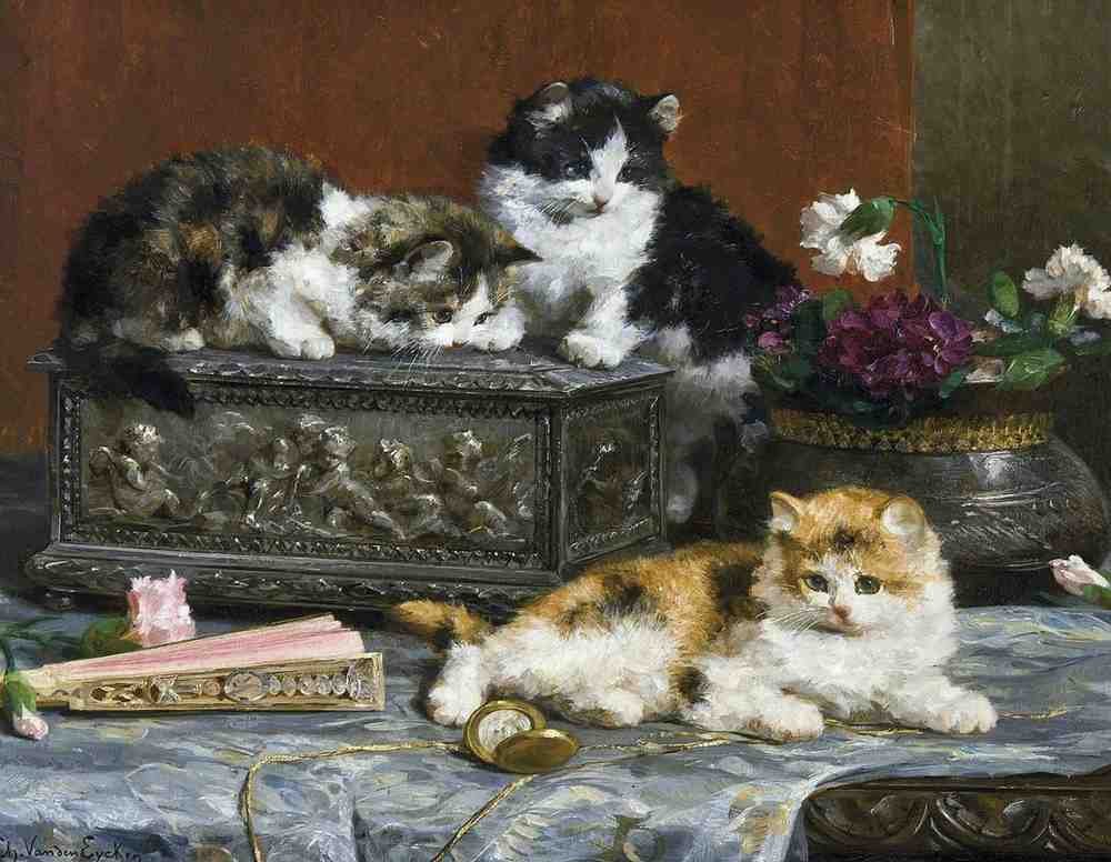 Illustrated Cat Book 1 112 Vintage Illustration A4 Photo Print