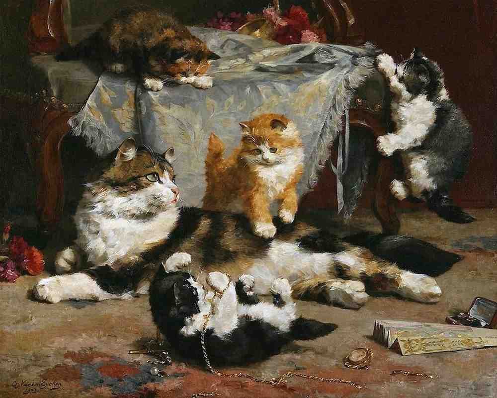 Illustrated Cat Book 1 116 Vintage Illustration A4 Photo Print