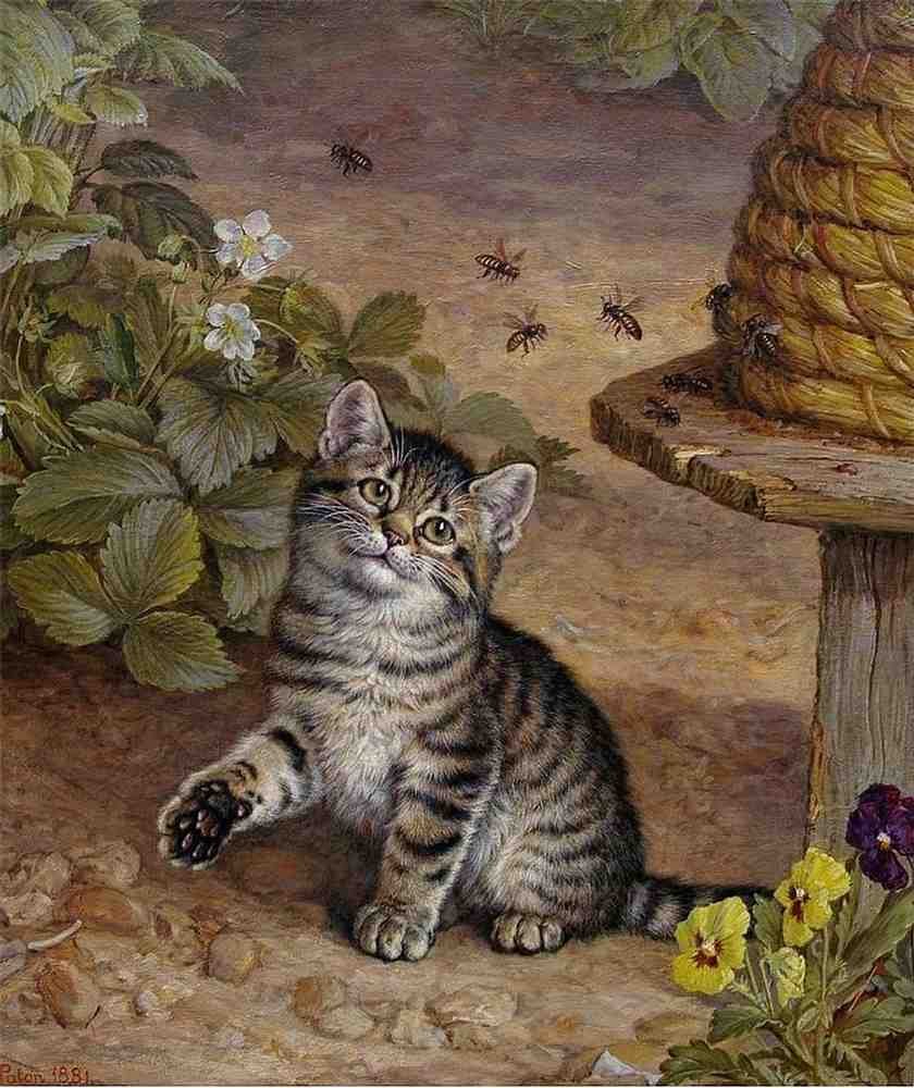 Illustrated Cat Book 1 121 Vintage Illustration A4 Photo Print