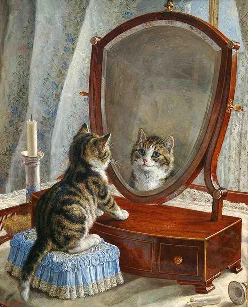 Illustrated Cat Book 1 122 Vintage Illustration A4 Photo Print