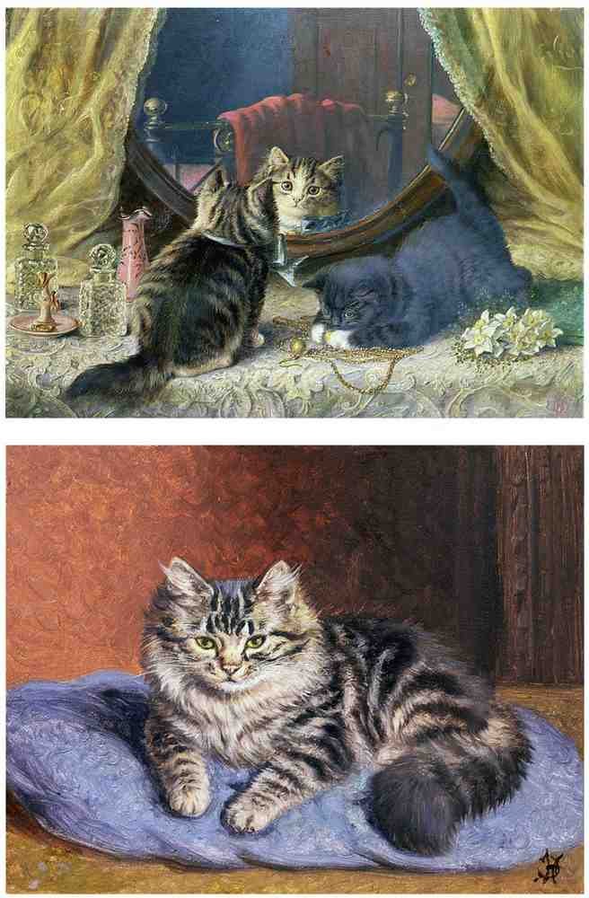 Illustrated Cat Book 2 006 Vintage Illustration A4 Photo Print