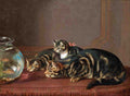 Illustrated Cat Book 2 008 Vintage Illustration A4 Photo Print
