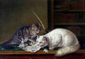 Illustrated Cat Book 2 009 Vintage Illustration A4 Photo Print