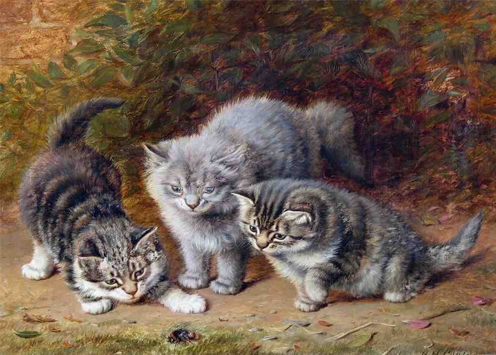 Illustrated Cat Book 2 010 Vintage Illustration A4 Photo Print