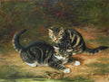 Illustrated Cat Book 2 011 Vintage Illustration A4 Photo Print
