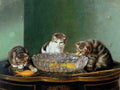 Illustrated Cat Book 2 012 Vintage Illustration A4 Photo Print