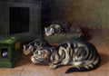 Illustrated Cat Book 2 013 Vintage Illustration A4 Photo Print