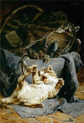 Illustrated Cat Book 2 015 Vintage Illustration A4 Photo Print