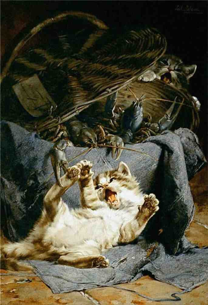 Illustrated Cat Book 2 015 Vintage Illustration A4 Photo Print