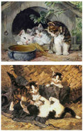 Illustrated Cat Book 2 018 Vintage Illustration A4 Photo Print