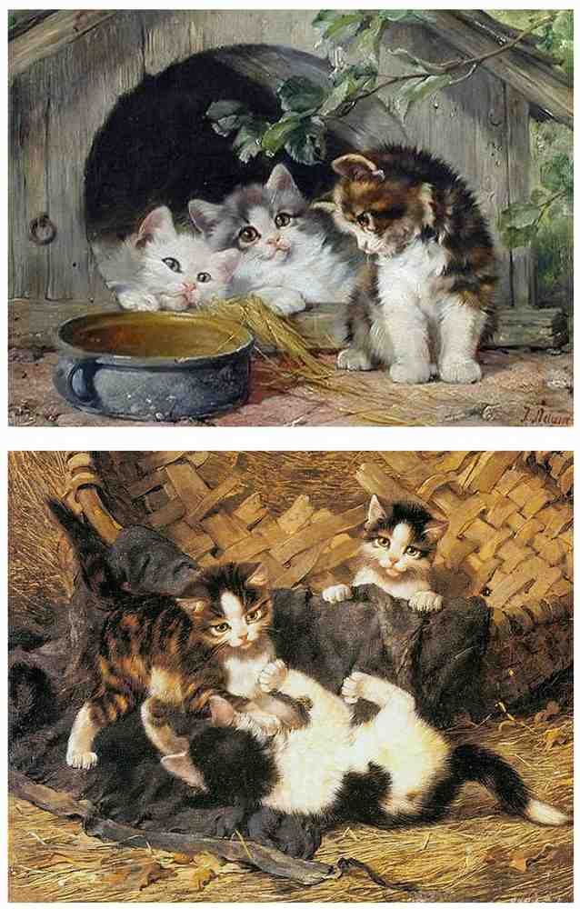Illustrated Cat Book 2 018 Vintage Illustration A4 Photo Print