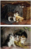 Illustrated Cat Book 2 019 Vintage Illustration A4 Photo Print