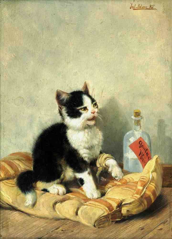 Illustrated Cat Book 2 022 Vintage Illustration A4 Photo Print