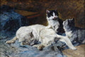 Illustrated Cat Book 2 024 Vintage Illustration A4 Photo Print