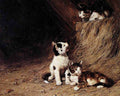 Illustrated Cat Book 2 025 Vintage Illustration A4 Photo Print