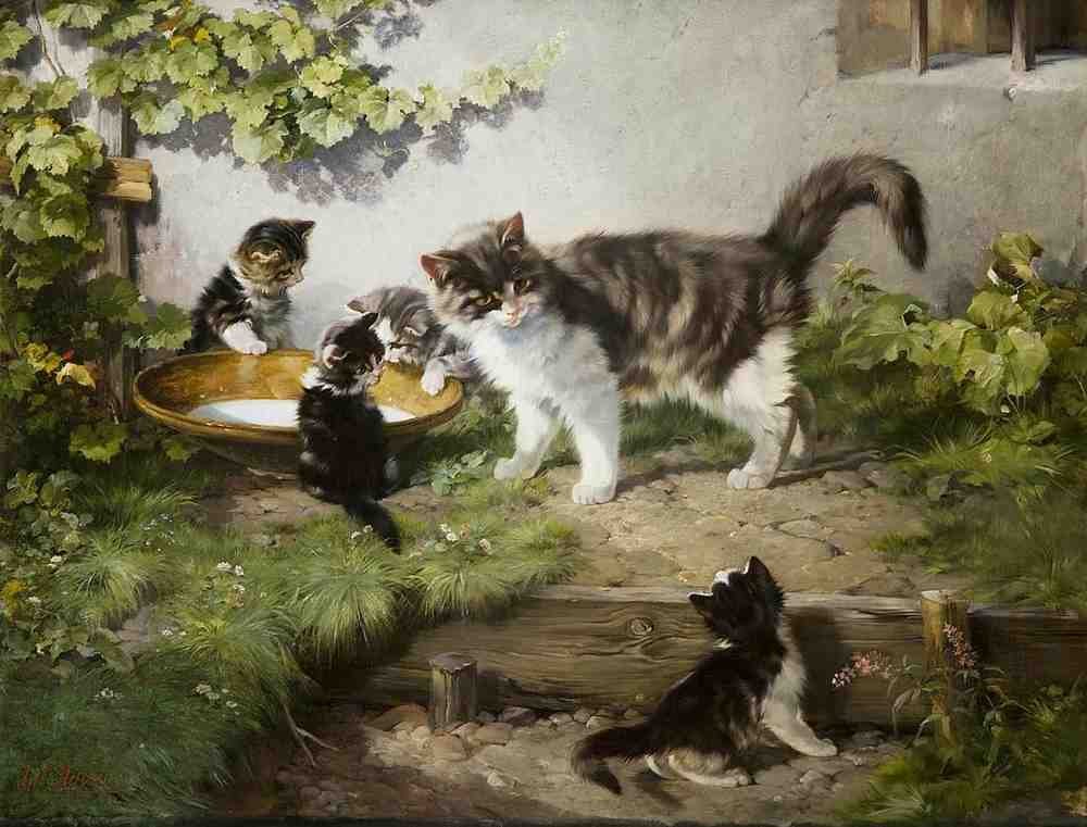Illustrated Cat Book 2 028 Vintage Illustration A4 Photo Print