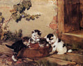 Illustrated Cat Book 2 030 Vintage Illustration A4 Photo Print