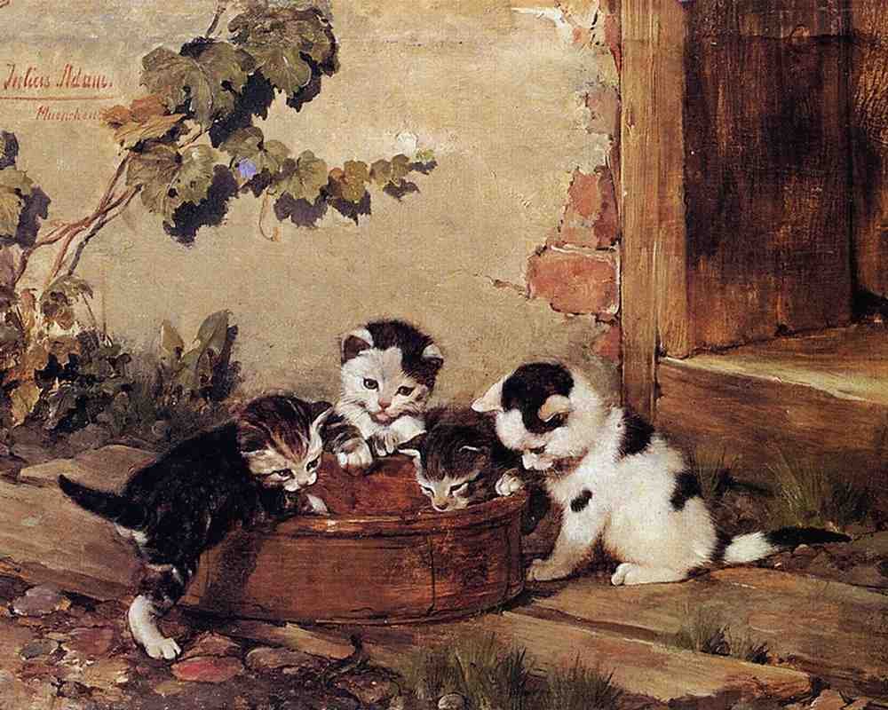 Illustrated Cat Book 2 030 Vintage Illustration A4 Photo Print