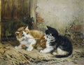 Illustrated Cat Book 2 031 Vintage Illustration A4 Photo Print