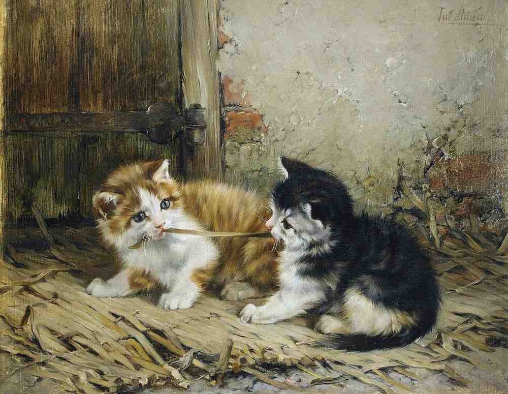 Illustrated Cat Book 2 031 Vintage Illustration A4 Photo Print
