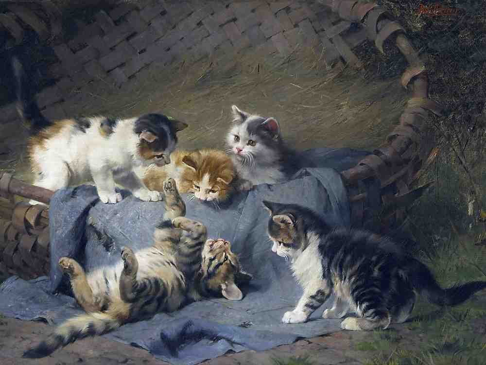Illustrated Cat Book 2 032 Vintage Illustration A4 Photo Print