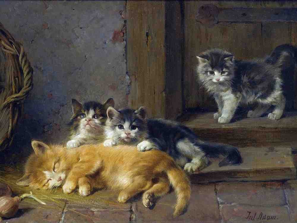 Illustrated Cat Book 2 033 Vintage Illustration A4 Photo Print