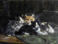 Illustrated Cat Book 2 034 Vintage Illustration A4 Photo Print