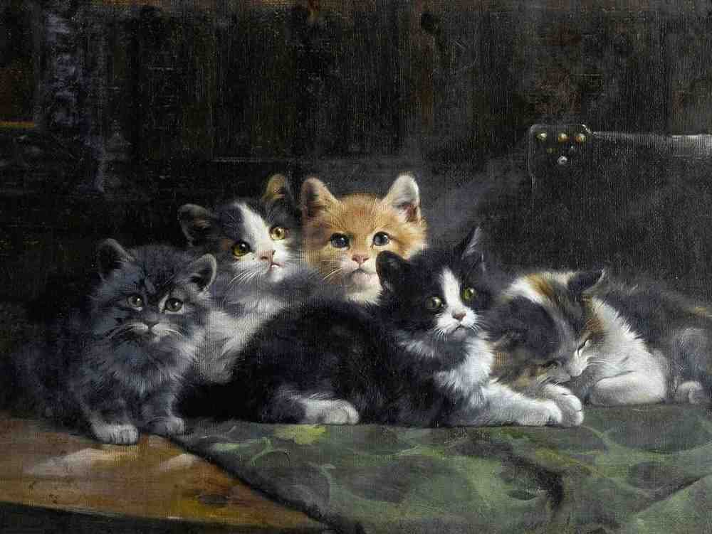 Illustrated Cat Book 2 034 Vintage Illustration A4 Photo Print