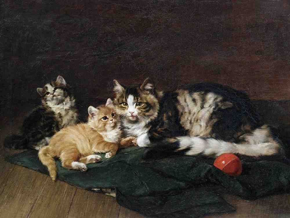Illustrated Cat Book 2 035 Vintage Illustration A4 Photo Print