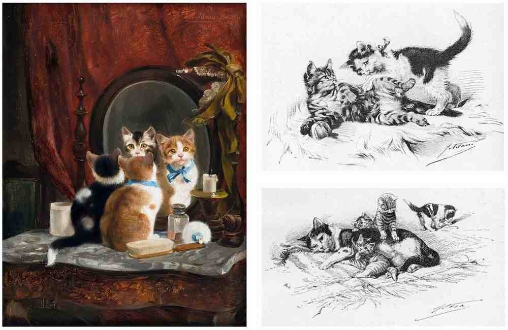 Illustrated Cat Book 2 036 Vintage Illustration A4 Photo Print