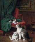 Illustrated Cat Book 2 038 Vintage Illustration A4 Photo Print