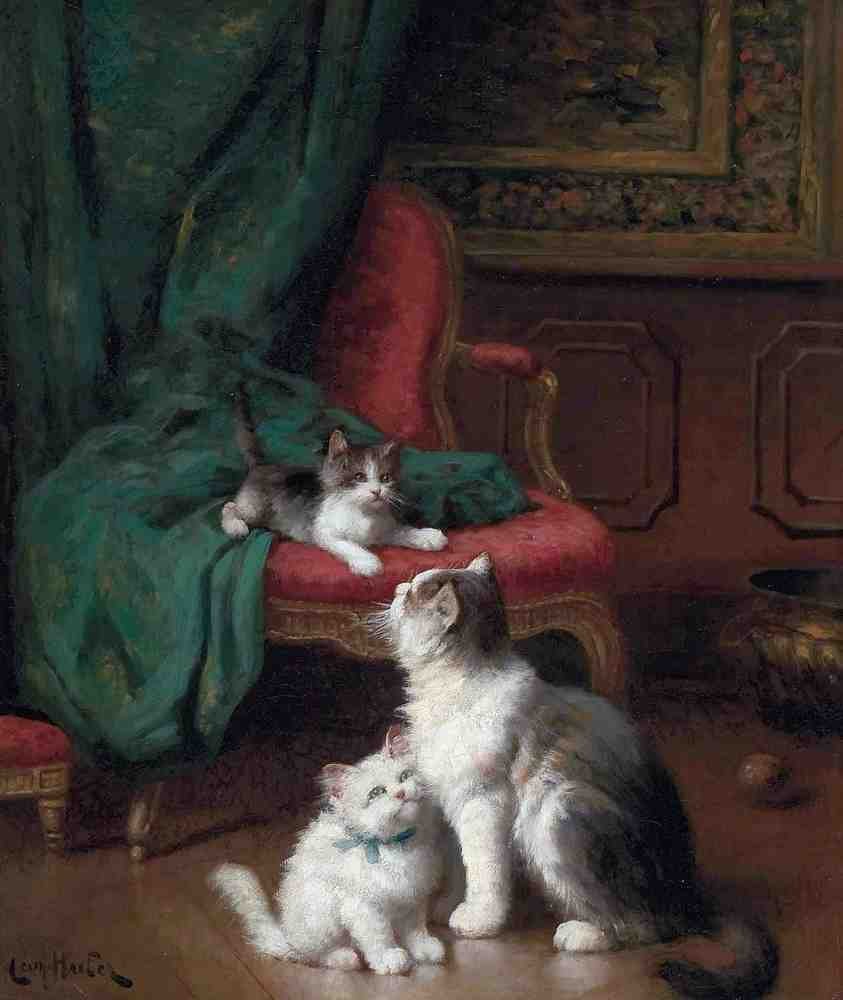 Illustrated Cat Book 2 038 Vintage Illustration A4 Photo Print