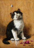 Illustrated Cat Book 2 040 Vintage Illustration A4 Photo Print