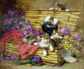 Illustrated Cat Book 2 041 Vintage Illustration A4 Photo Print