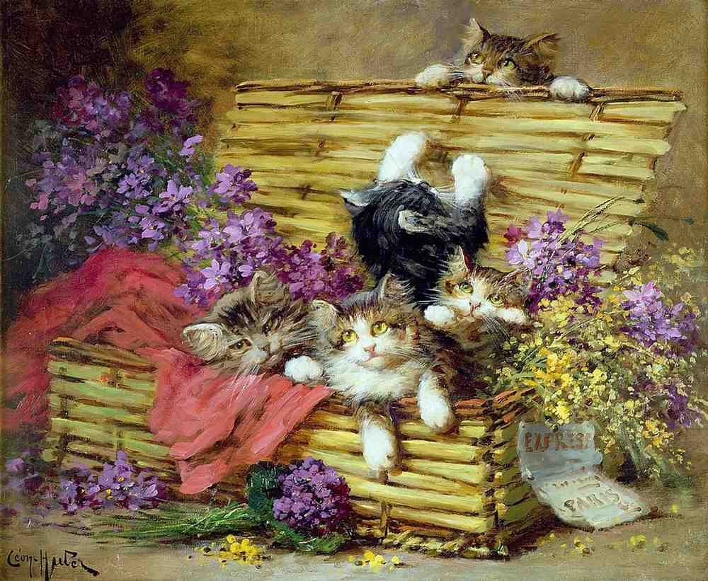 Illustrated Cat Book 2 041 Vintage Illustration A4 Photo Print