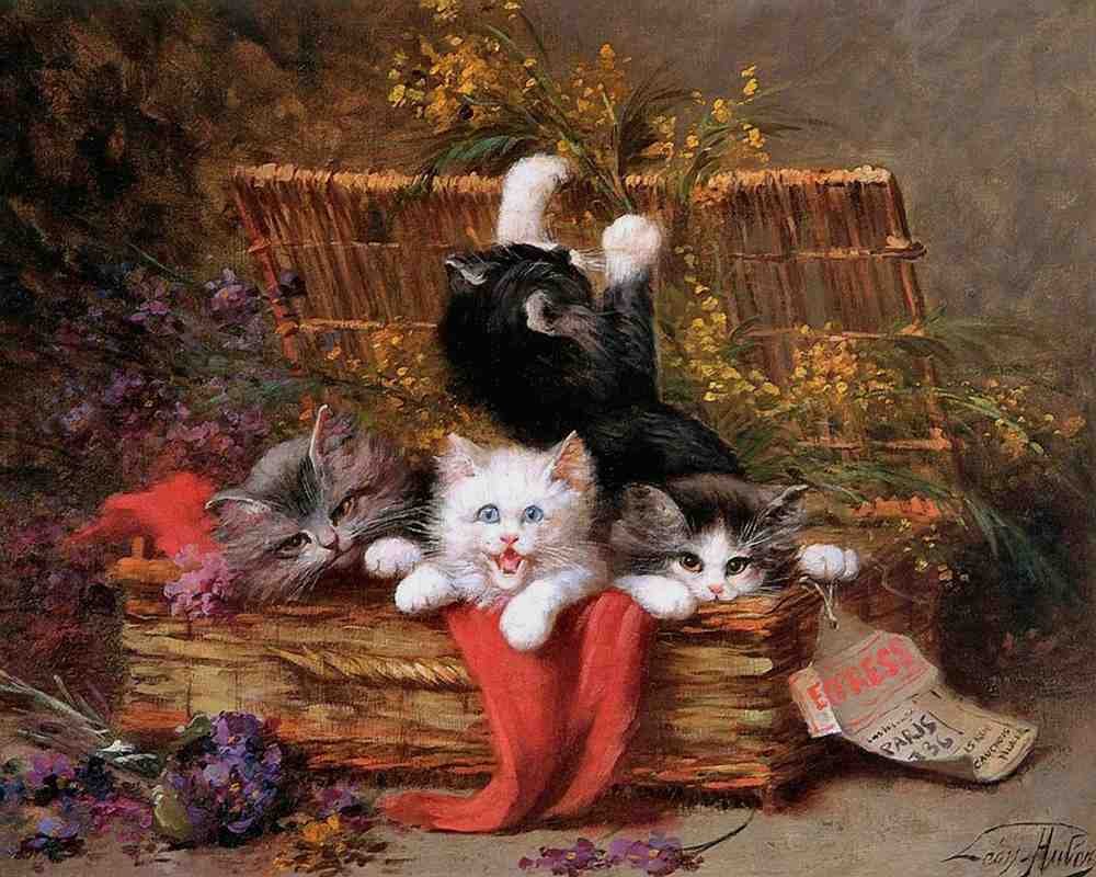 Illustrated Cat Book 2 042 Vintage Illustration A4 Photo Print