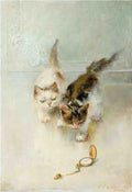 Illustrated Cat Book 2 045 Vintage Illustration A4 Photo Print