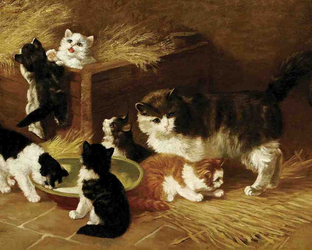 Illustrated Cat Book 2 049 Vintage Illustration A4 Photo Print