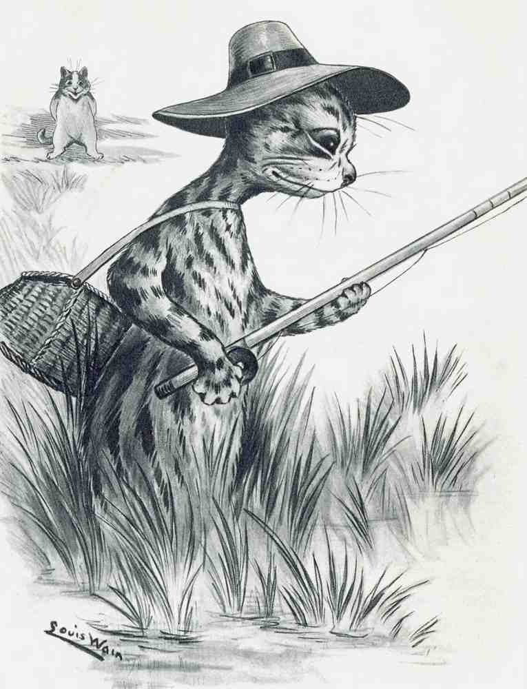 Illustrated Cat Book 2 055 Vintage Illustration A4 Photo Print