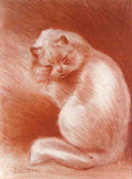 Illustrated Cat Book 2 064 Vintage Illustration A4 Photo Print