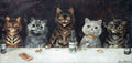 Illustrated Cat Book 2 067 Vintage Illustration A4 Photo Print
