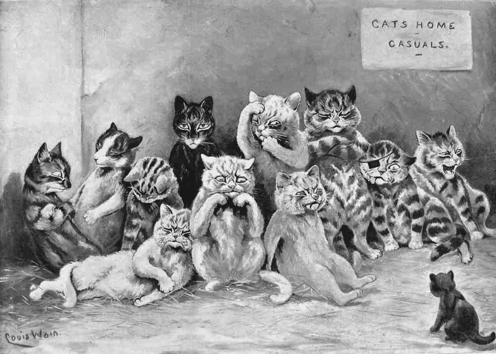 Illustrated Cat Book 2 069 Vintage Illustration A4 Photo Print