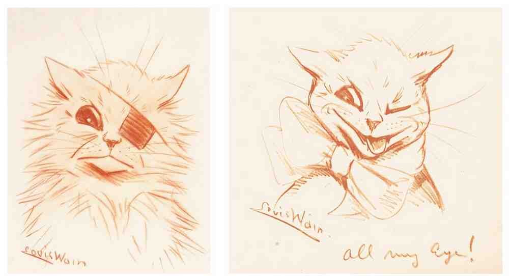 Illustrated Cat Book 2 070 Vintage Illustration A4 Photo Print