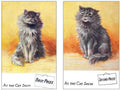 Illustrated Cat Book 2 072 Vintage Illustration A4 Photo Print
