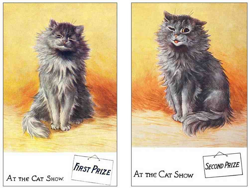 Illustrated Cat Book 2 072 Vintage Illustration A4 Photo Print