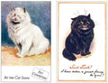 Illustrated Cat Book 2 073 Vintage Illustration A4 Photo Print
