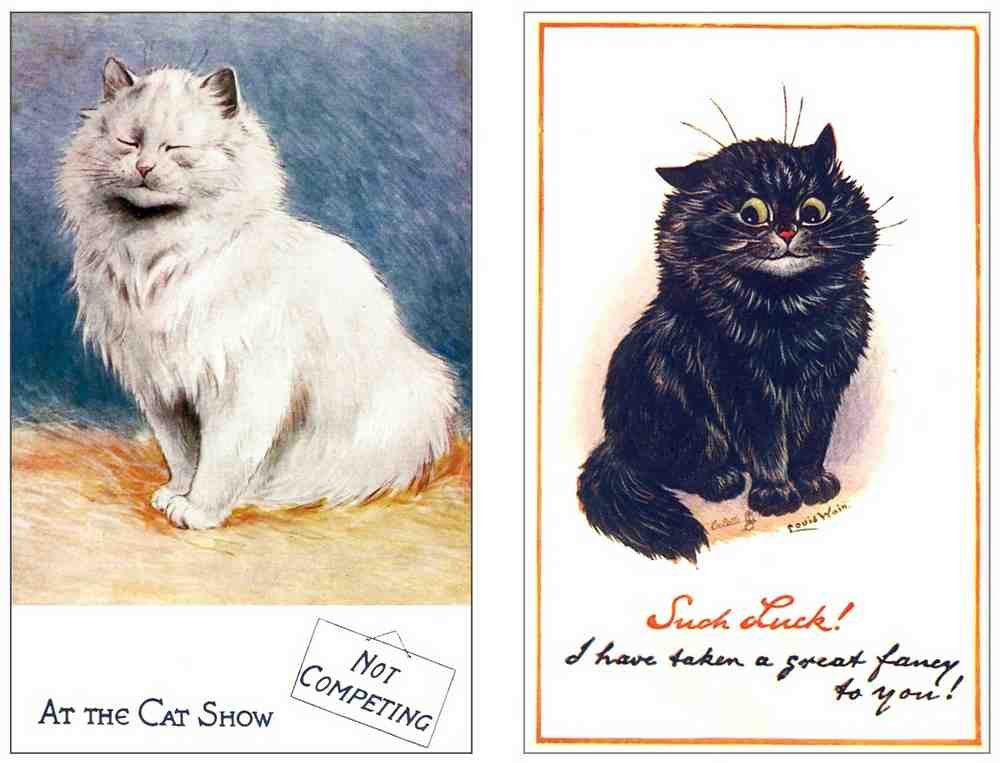 Illustrated Cat Book 2 073 Vintage Illustration A4 Photo Print