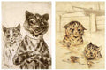 Illustrated Cat Book 2 080 Vintage Illustration A4 Photo Print